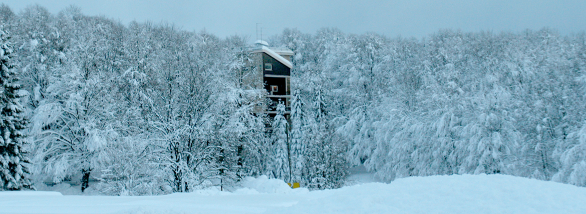 Bosco innevato a Campo dell’Osso