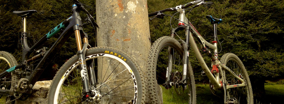 Mountain bike nel bosco